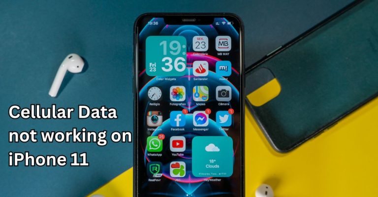 Cellular Data not working on iPhone 11