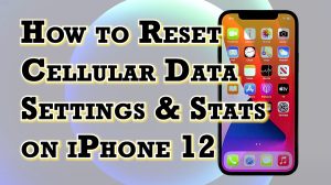 How to Reset Cellular Data Statistics and Settings on Apple iPhone 12