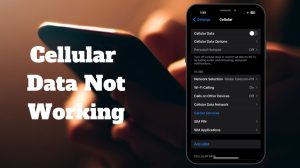 How To Fix The iPhone 13 Cellular Data Not Working Issue