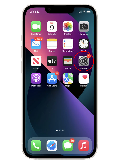 How To Fix An Apple iPhone 13 Mini With No Sound 2 iphone 13 mini no sound 1