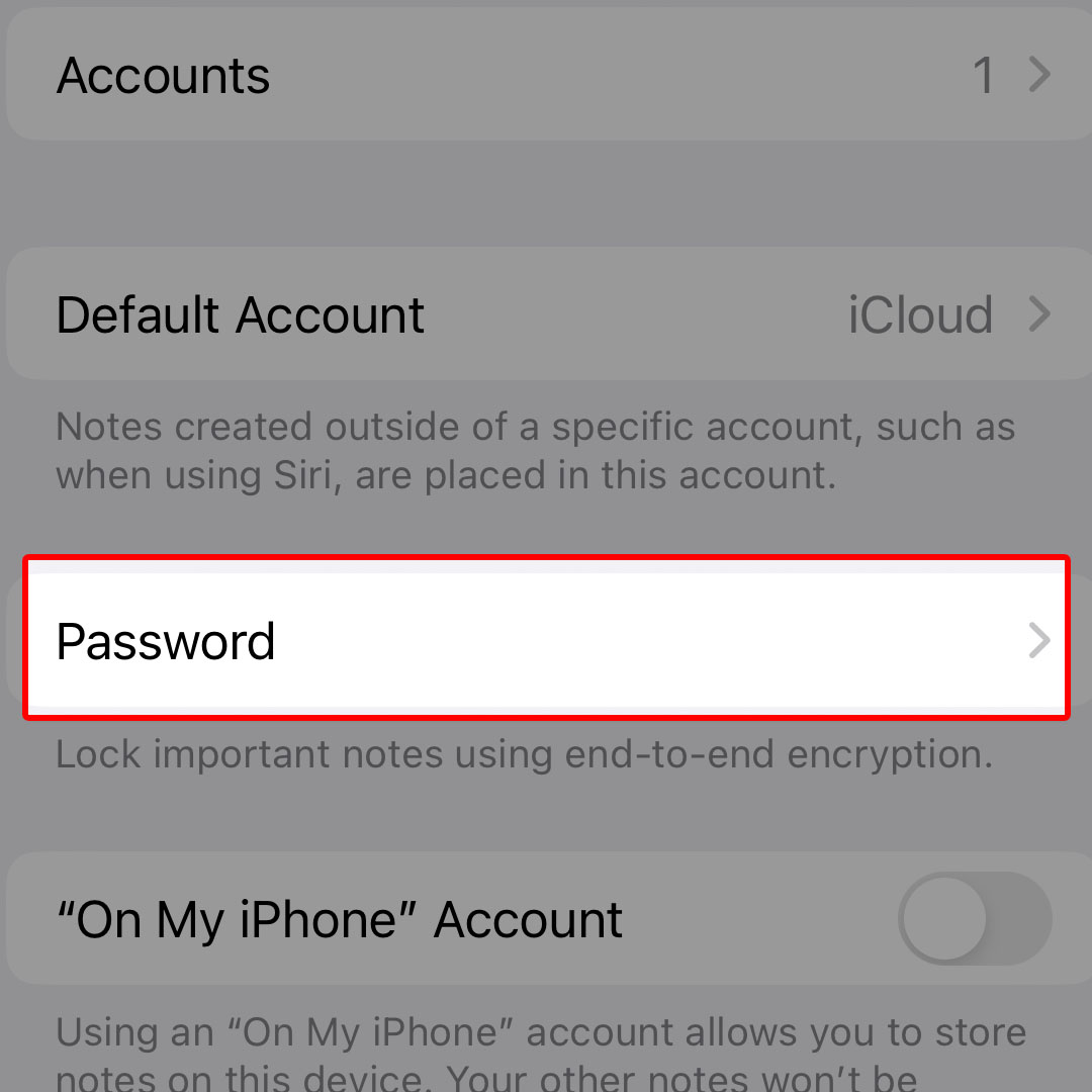 create custom password iphone14 Notes3