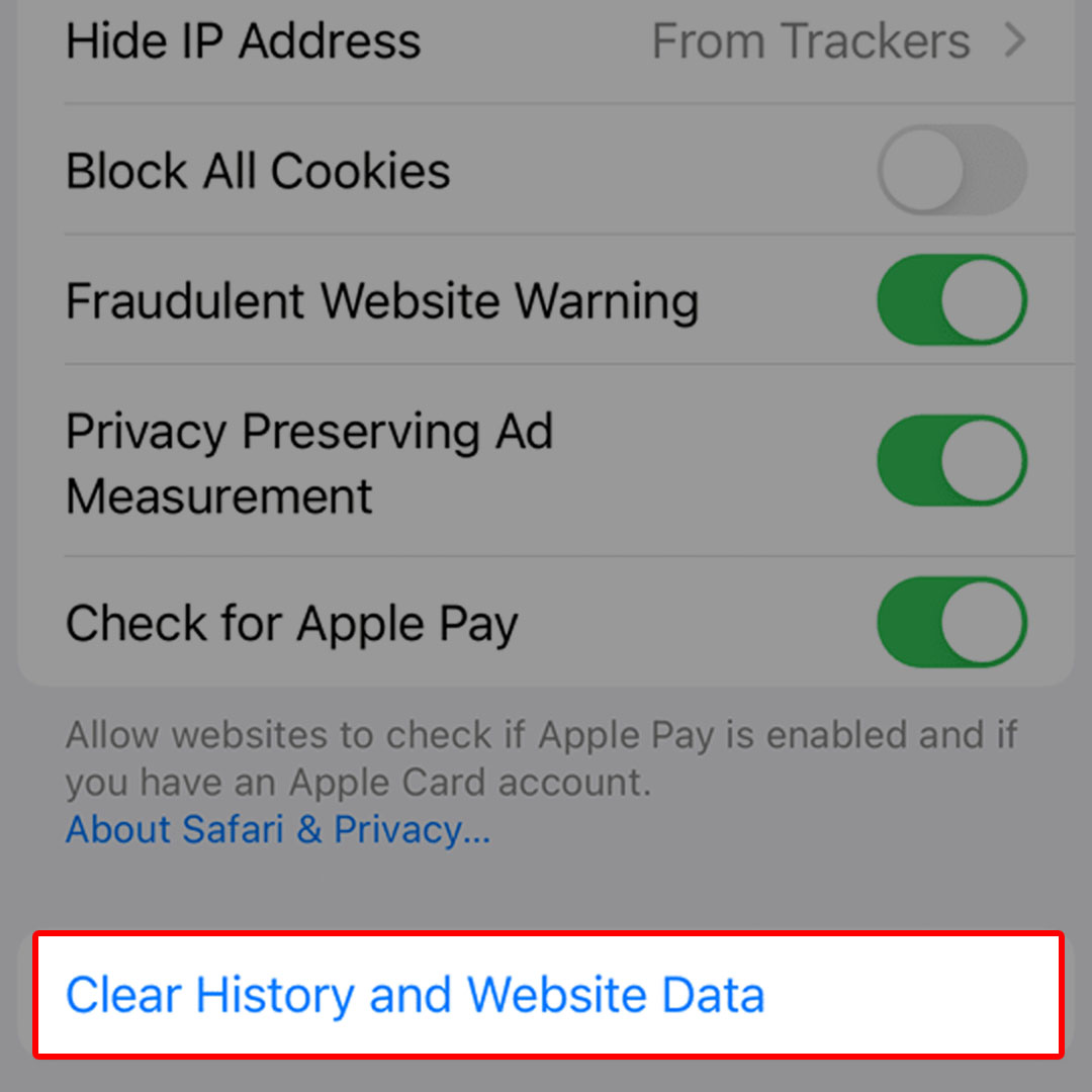 clear website data iphon14 safari3