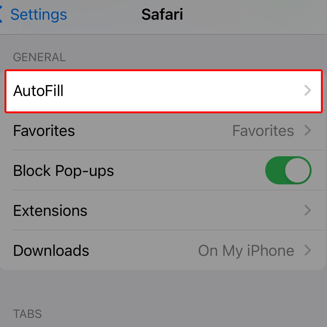disable iphone14 safari autofill3