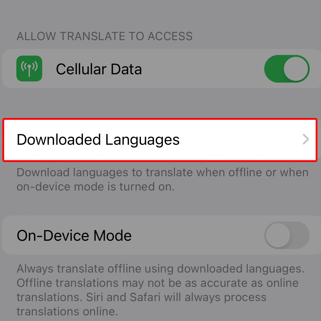 download language iphone14 translate3