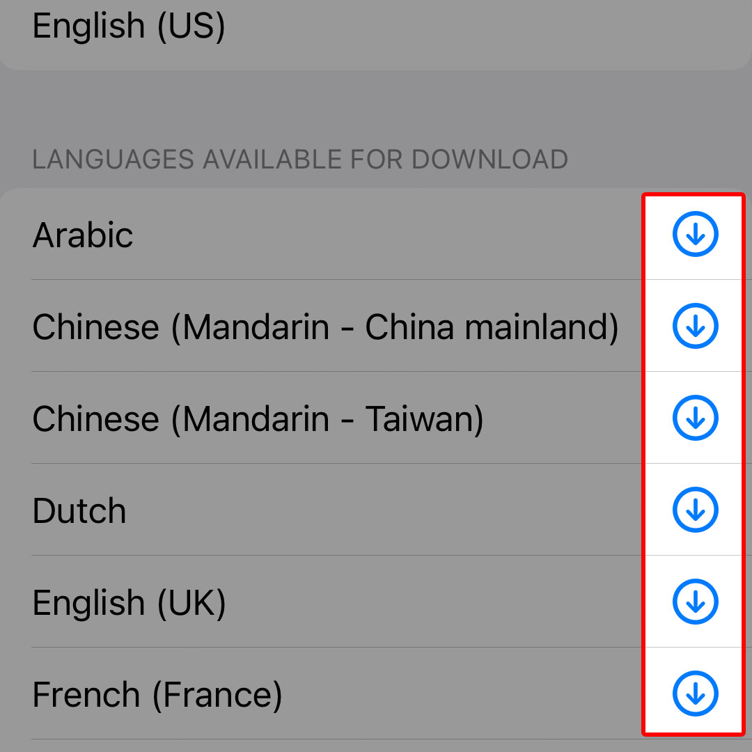 download language iphone14 translate4