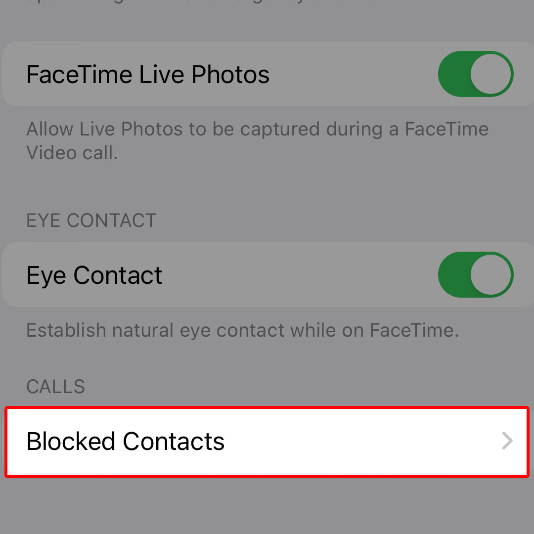 iphone14 facetime blocking3