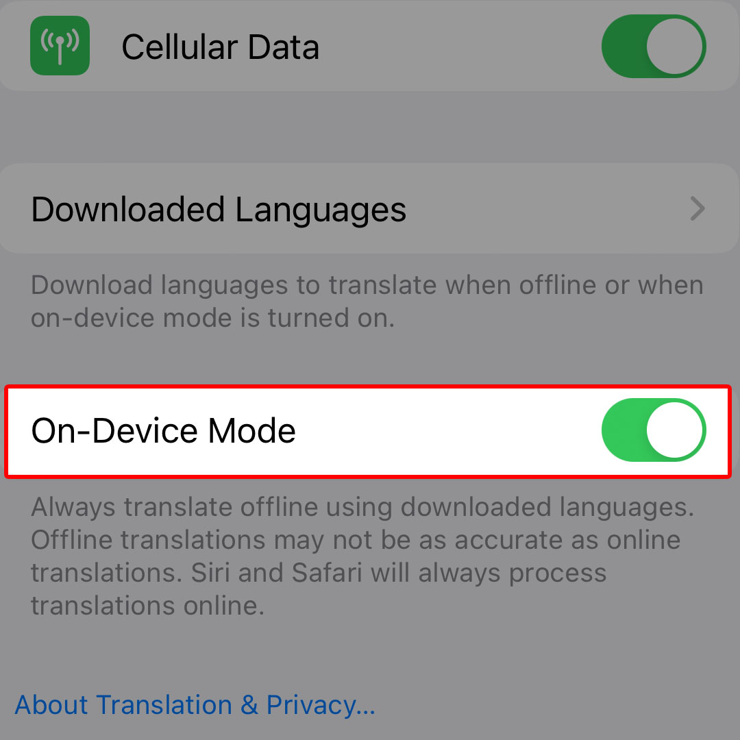 iphone14 on device mode translate3