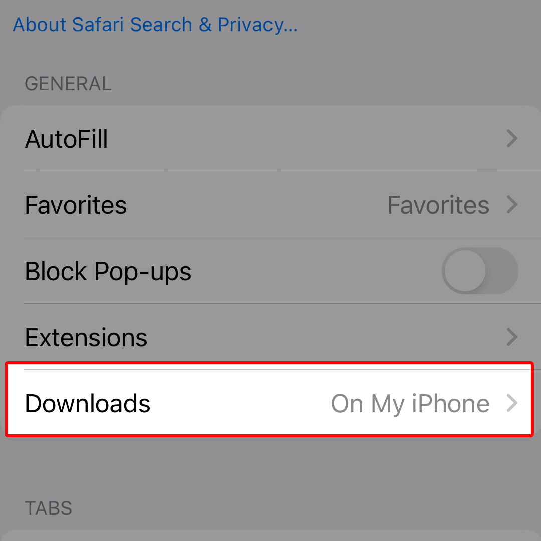 iphone14 safari downloads location3