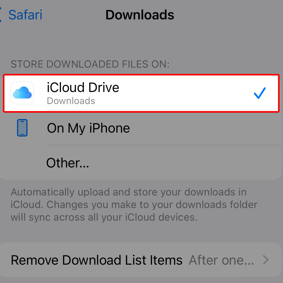 iphone14 safari downloads location5