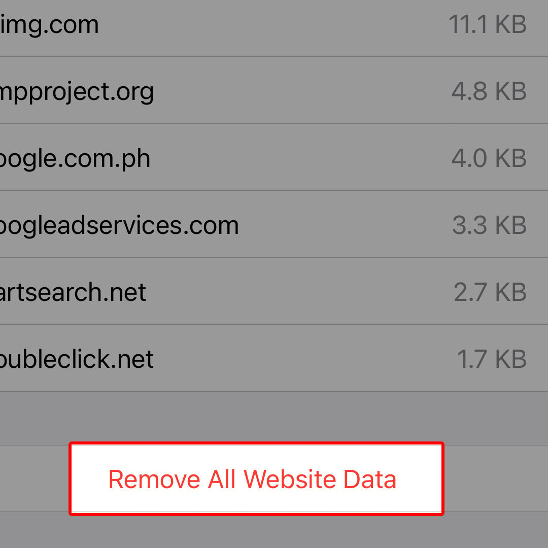 remove all website data iphone14 safari5