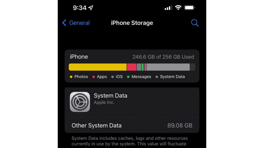 How To Delete System Data On iPhone