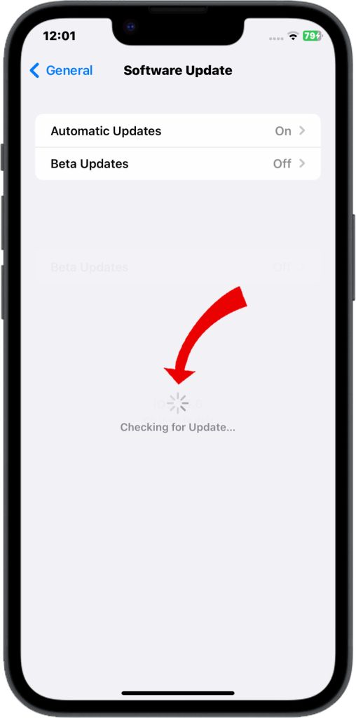 How to Resolve iPhone 14 Camera Freezing and Crashing 5 Check updates