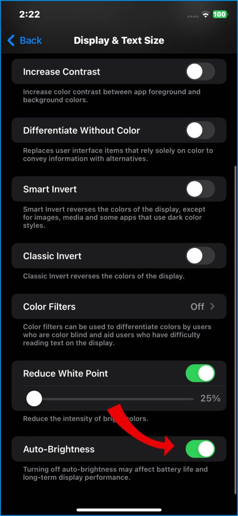 How to Fix iPhone 14 Battery Draining Overnight 9 Turn on Auto-Brightness
