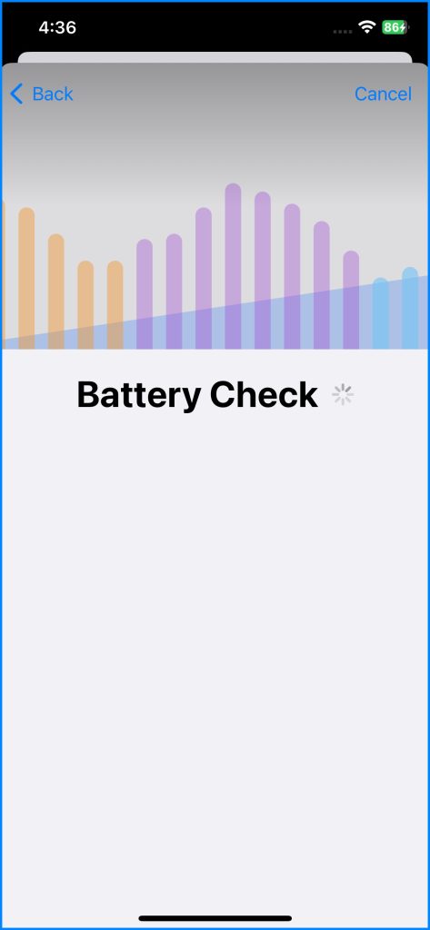 iPhone Battery Check