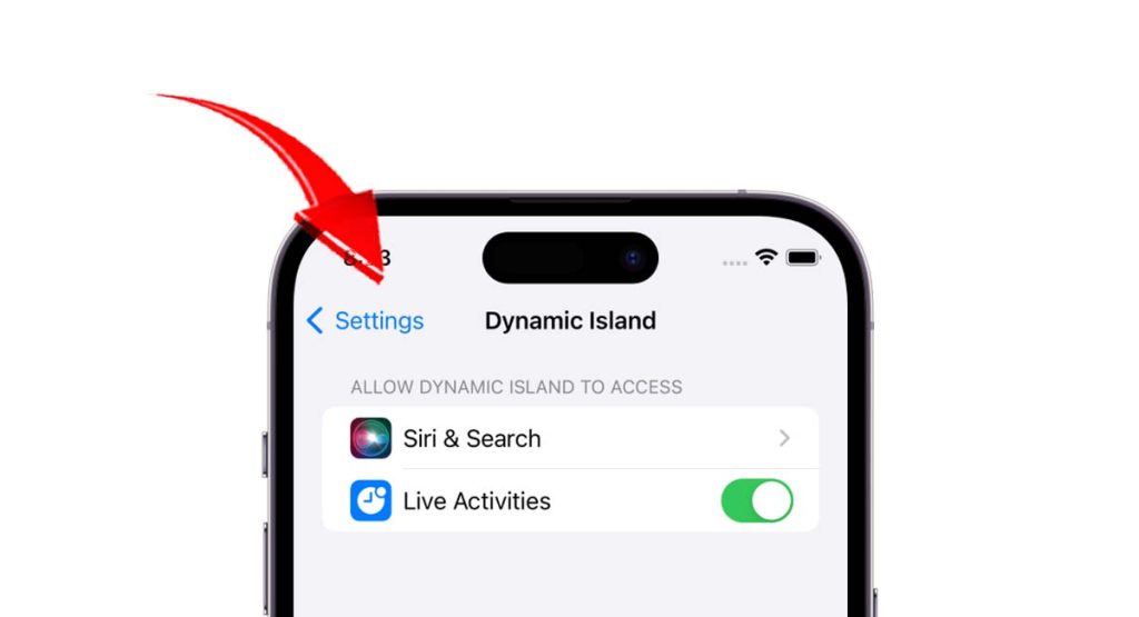 iPhone 15 Pro Max Dynamic Island Settings