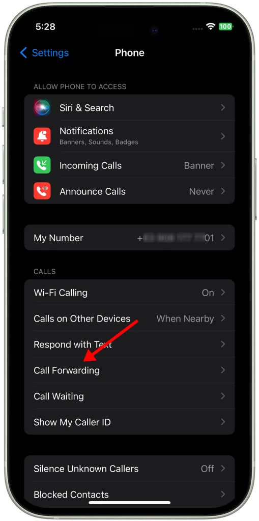 iPhone Calls Going Straight to Voicemail? Here's Why and How to Fix It 5 Select Call Forwarding