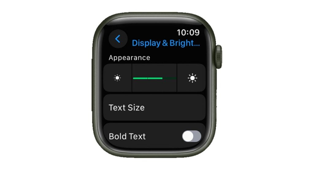 adjust Apple Watch 4 screen brightness