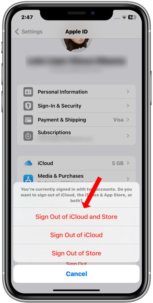 confirm iCloud sign out iphone