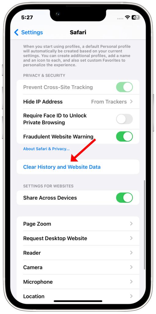 clear history and website data iphone safari