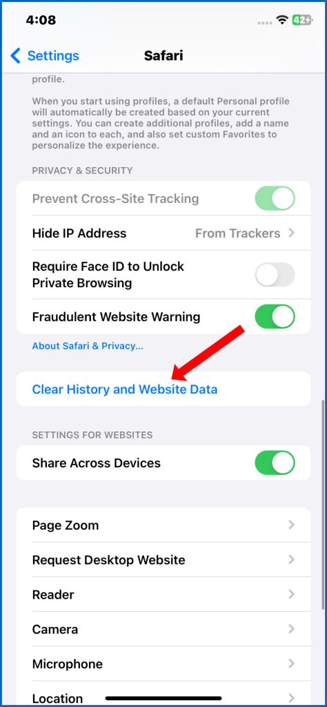 Clear Safari History and Website Data iPhone 13 Pro Max