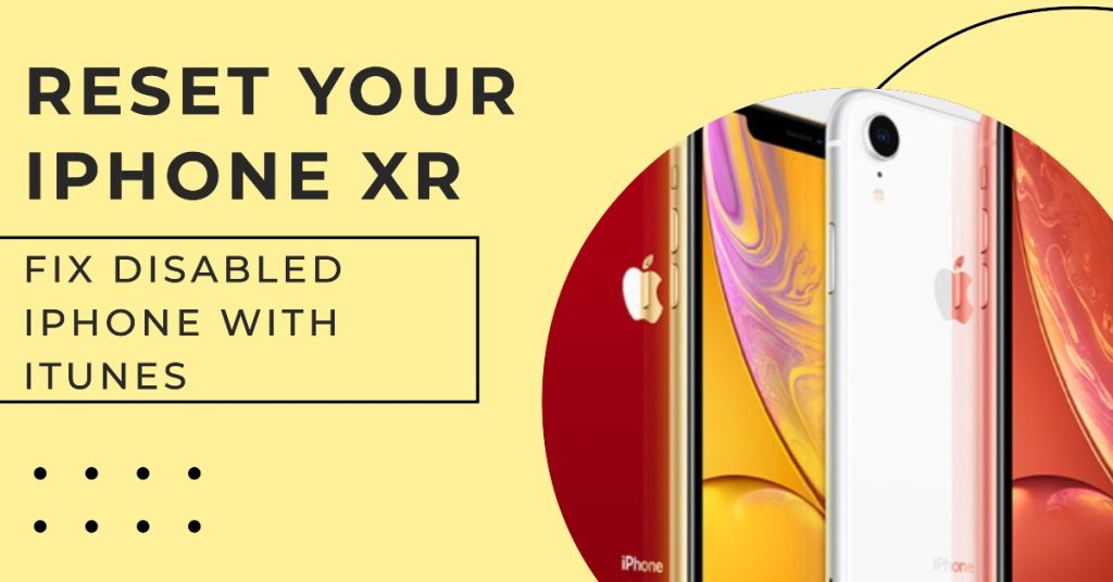 Perform a master reset through iTunes to fix iPhone XR disabled completely.
