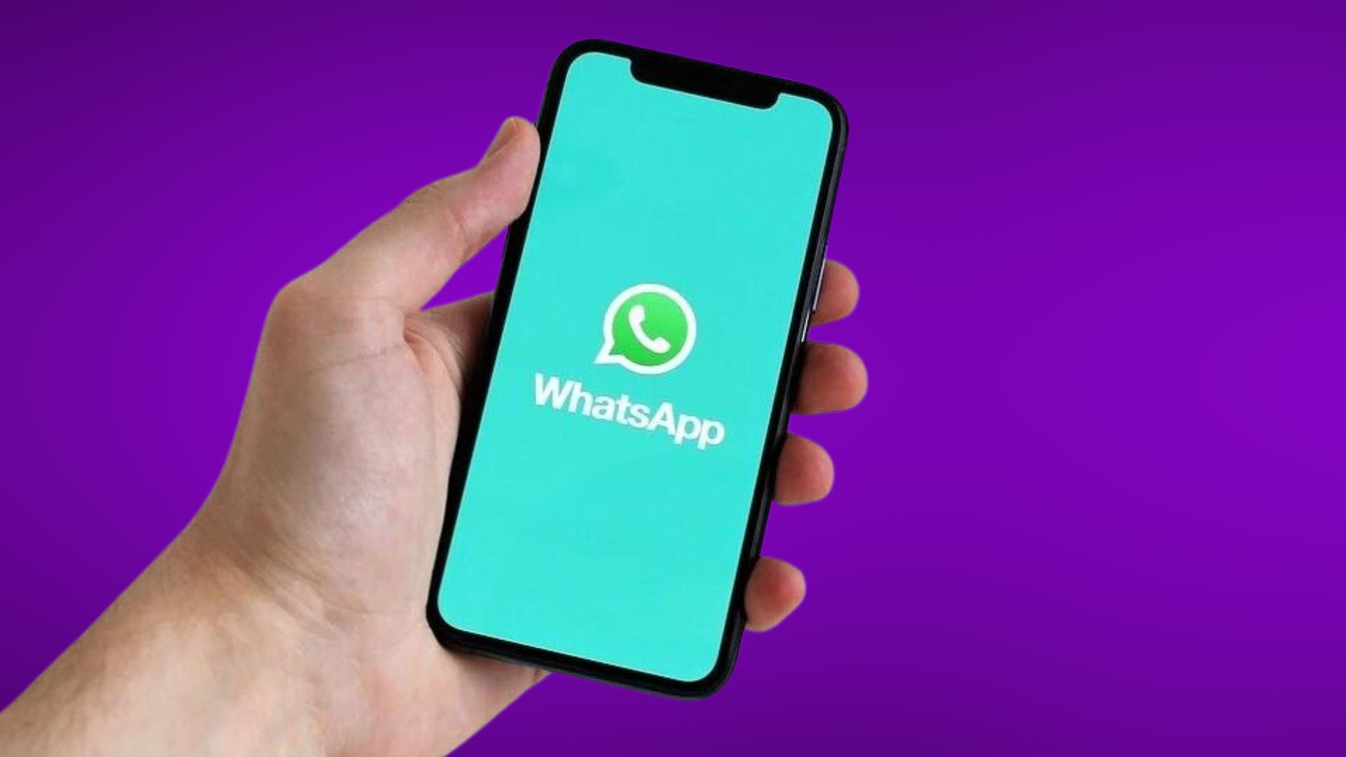 Update to the Latest WhatsApp Version