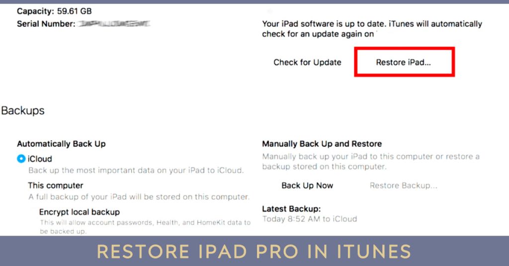 restore ipad pro in itunes