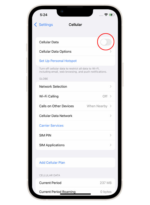 iPhone 13 Cellular Data Not Working