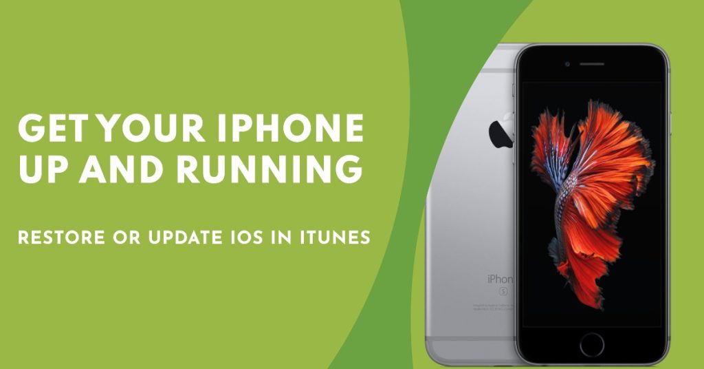 Restore or update iOS in iTunes