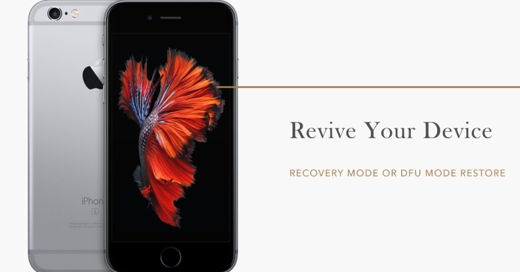 Recovery mode or DFU mode restore