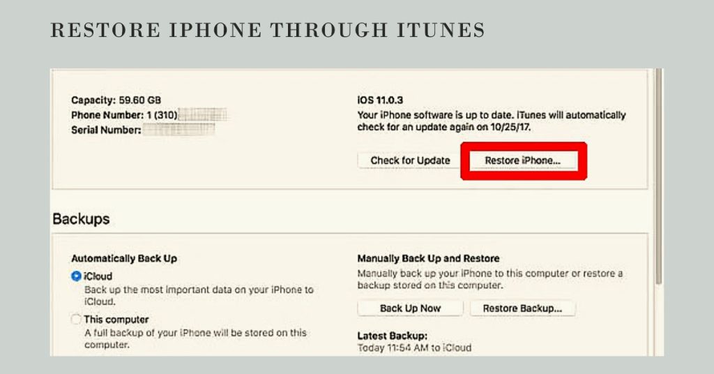 restore iphone in itunes