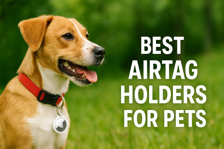 5 Best AirTag Holders for Pets